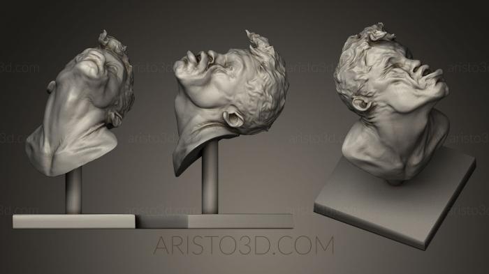 Busts and heads antique and historical (BUSTA_0071) 3D model for CNC machine